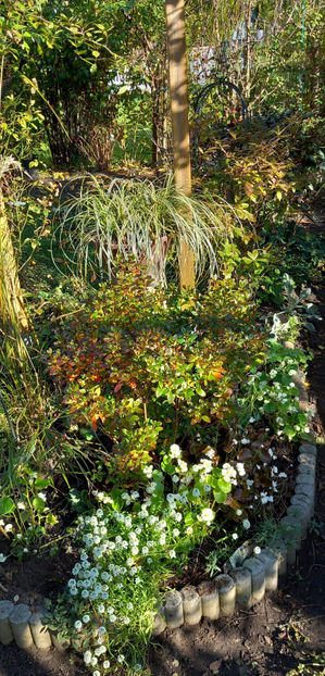  - 2024 - 03 - Toamna