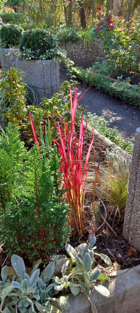  - 2024 - 03 - Toamna