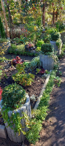  - 2024 - 03 - Toamna