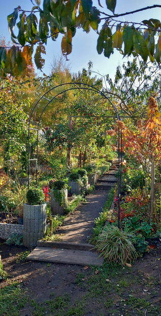  - 2024 - 03 - Toamna