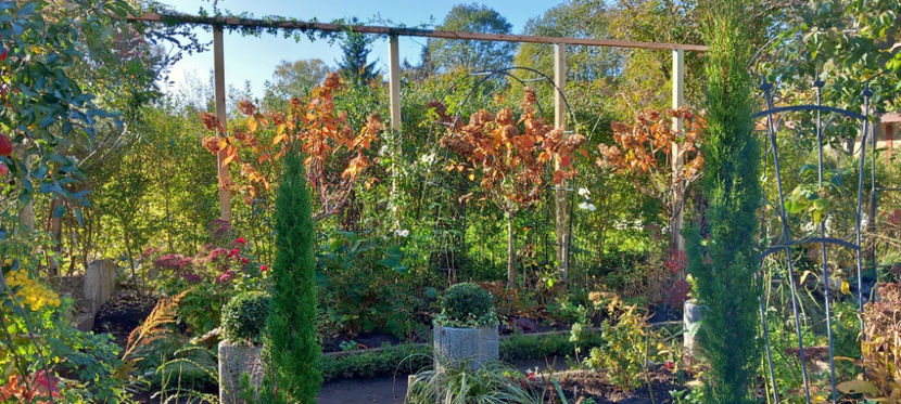 Un pic de soare! - 2024 - 03 - Toamna