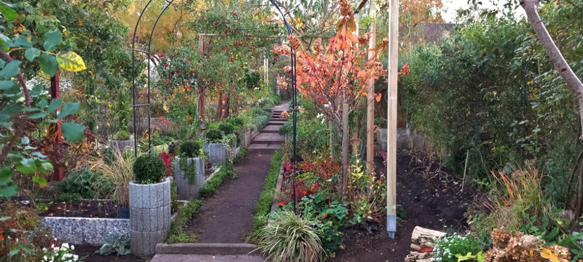  - 2024 - 03 - Toamna