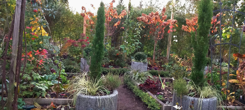  - 2024 - 03 - Toamna