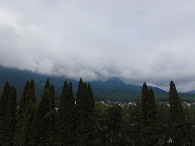  - CASTELUL CANTACUZINO