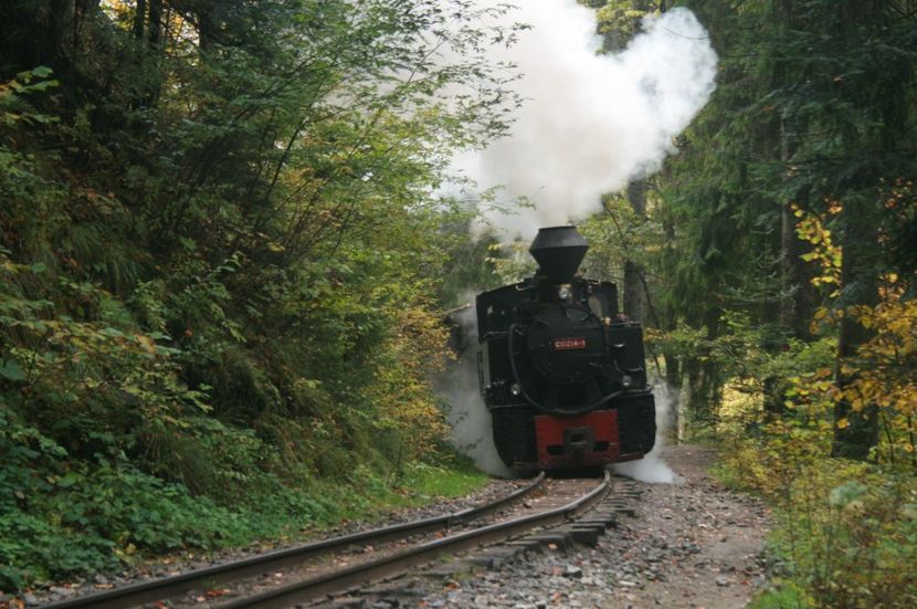  - MOCĂNIȚA VIȘEU