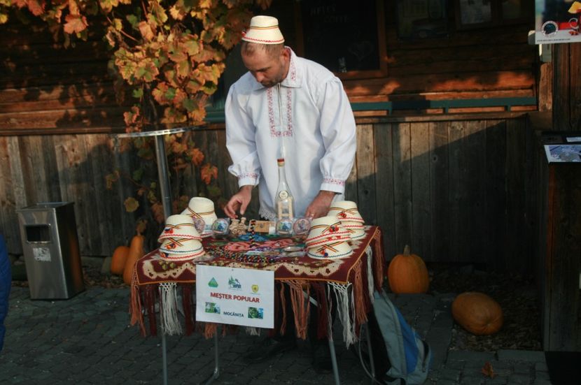  - MOCĂNIȚA VIȘEU