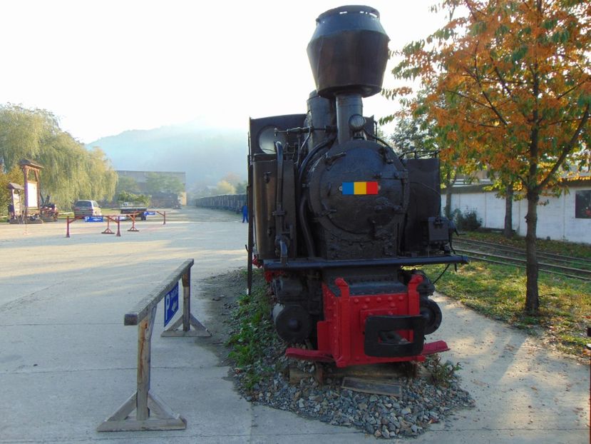  - MOCĂNIȚA VIȘEU