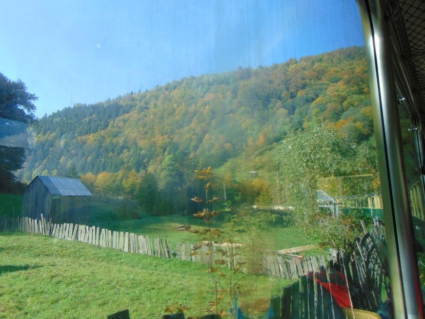  - MOCĂNIȚA VIȘEU