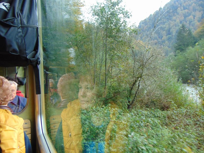  - MOCĂNIȚA VIȘEU