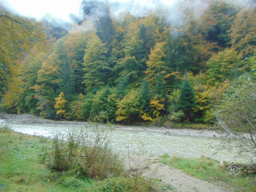 - MOCĂNIȚA VIȘEU