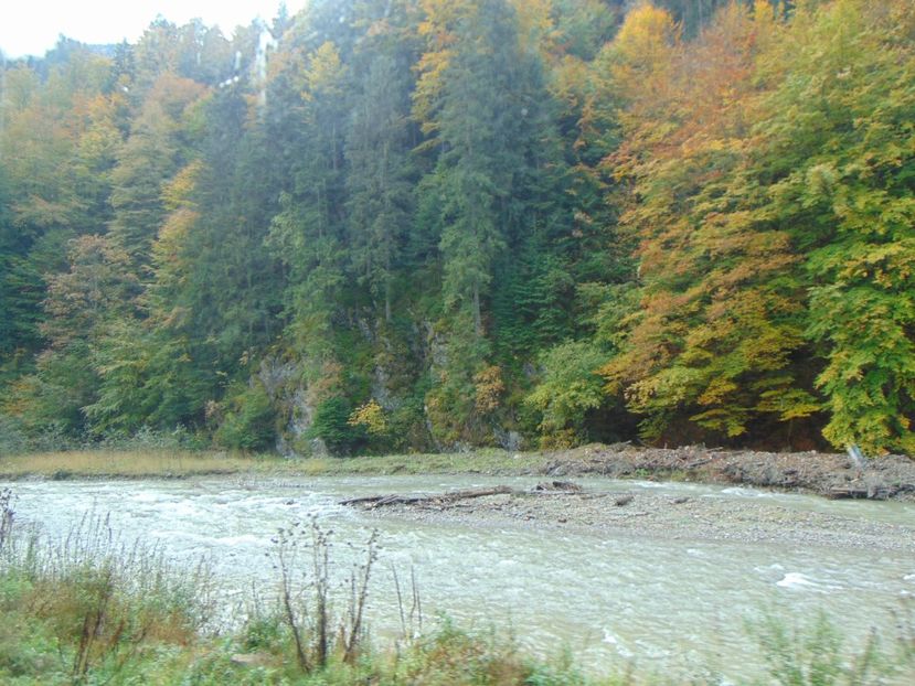  - MOCĂNIȚA VIȘEU