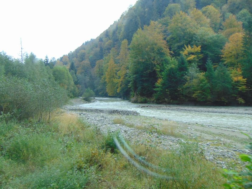  - MOCĂNIȚA VIȘEU