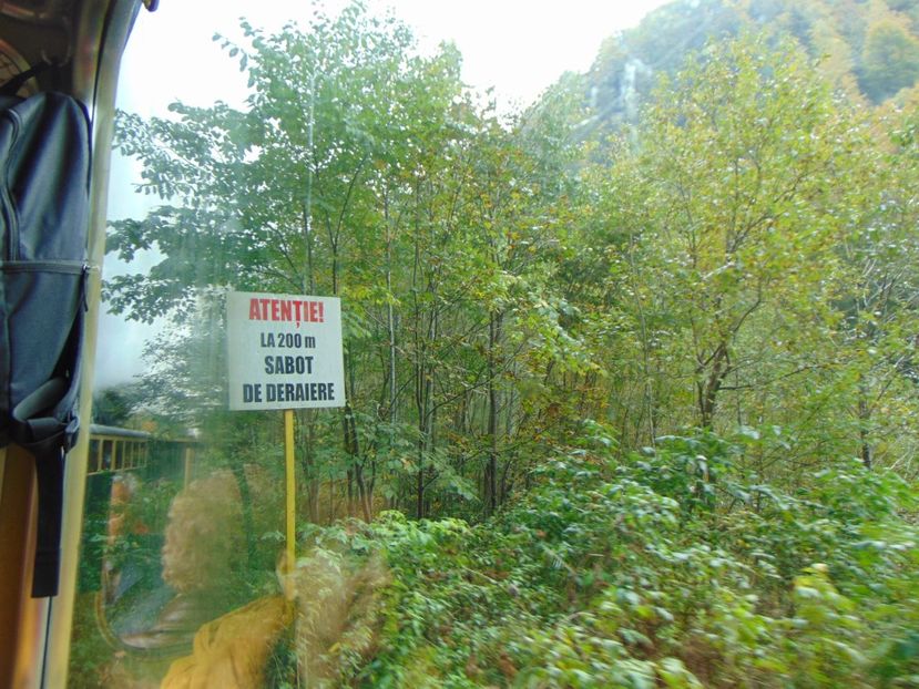  - MOCĂNIȚA VIȘEU