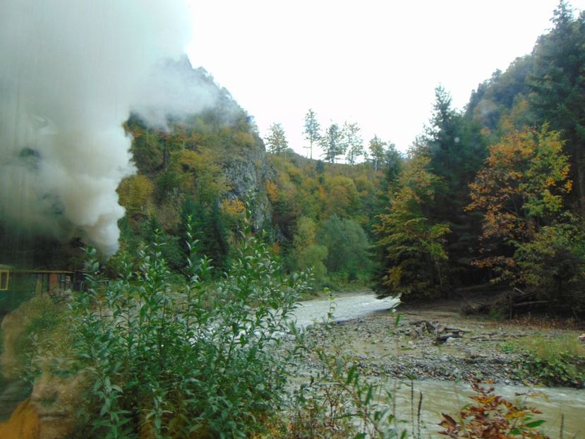  - MOCĂNIȚA VIȘEU