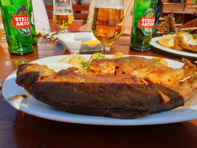  - SIBIU - 21