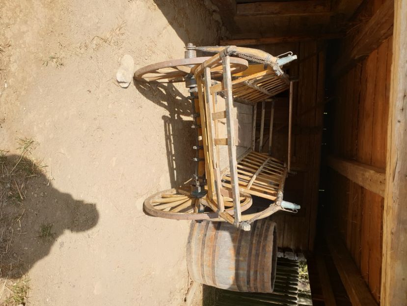  - SIBIU - 21