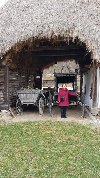  - SIBIU - 19