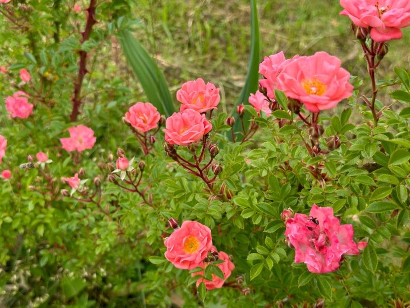 WhatsApp Image 2024-05-23 at 22.30.15 (7) - Ferdy