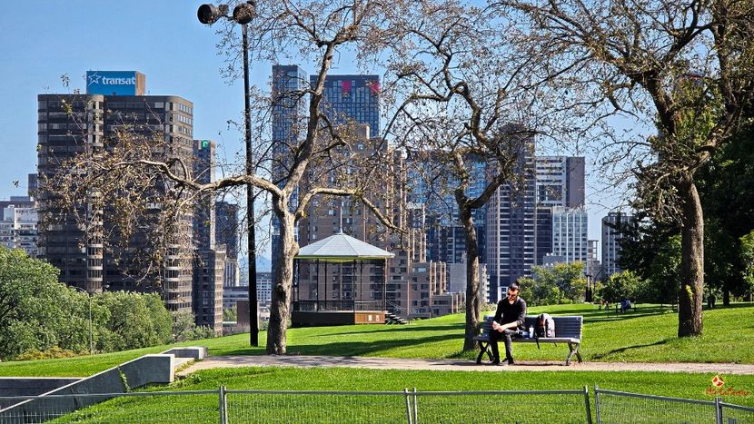 Montreal - Mount Royal Park - I - PEOPLES - OAMENI