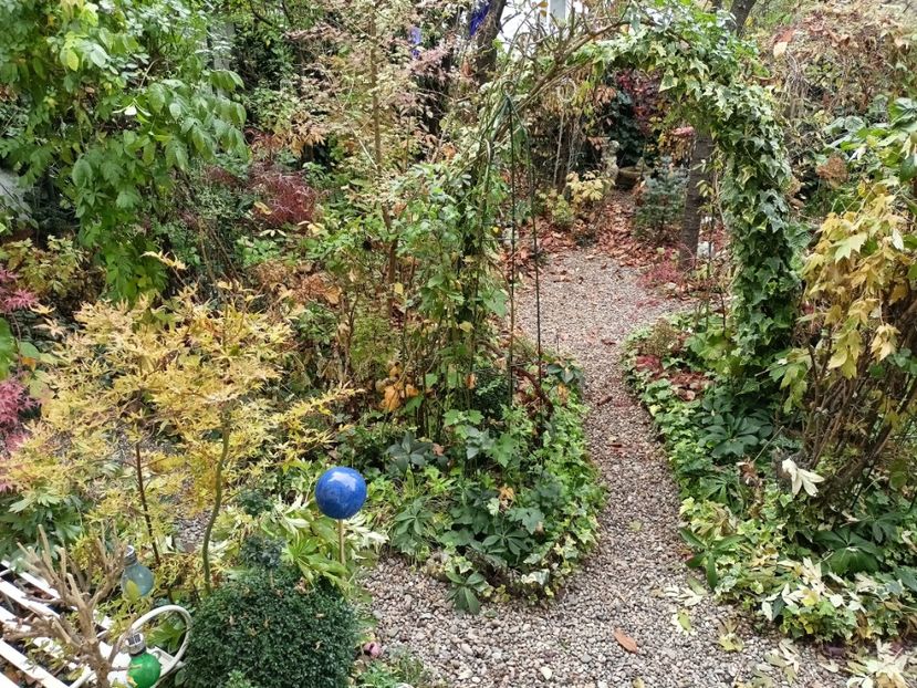 16.11.2024 - Grădina 2024 continuare 5