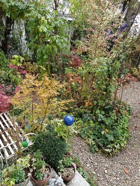  - Grădina 2024 continuare 5