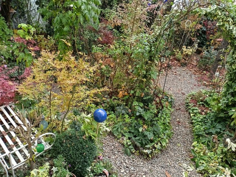  - Grădina 2024 continuare 5