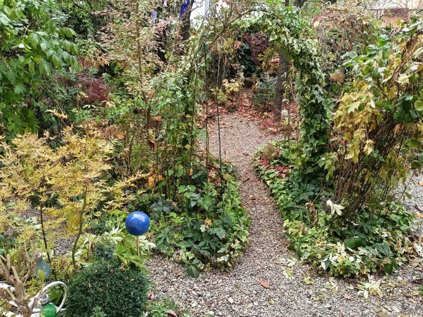  - Grădina 2024 continuare 5