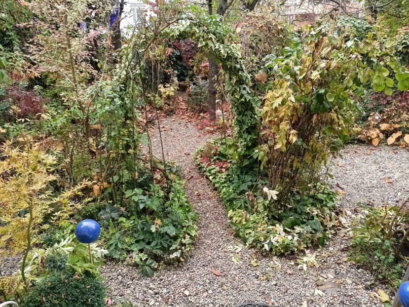  - Grădina 2024 continuare 5