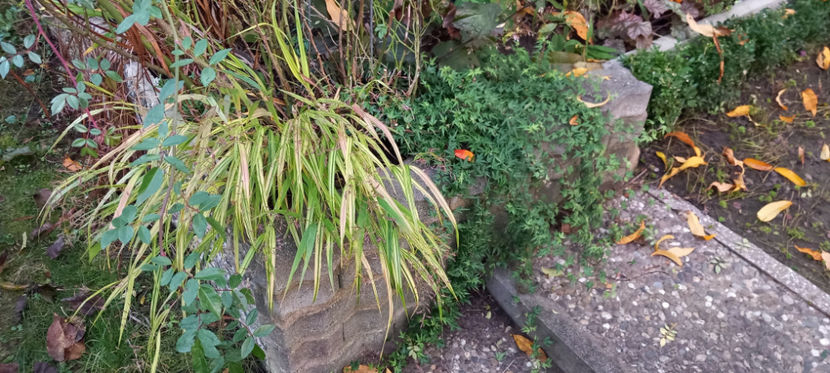  - 2024 - 03 - Toamna