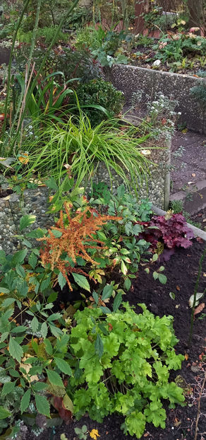  - 2024 - 03 - Toamna