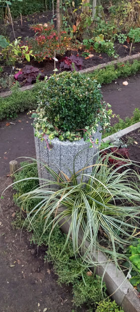  - 2024 - 03 - Toamna