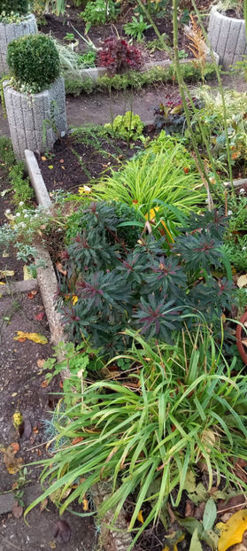  - 2024 - 03 - Toamna