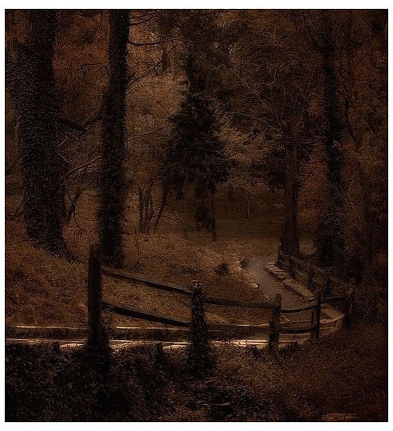 ♡ ɴᴏᴠᴇᴍʙᴇʀ 17 » „Vreau s-alung durerea din sufletul tău stins.. Vreau să simt căldura - Tomnatic și nostalgic
