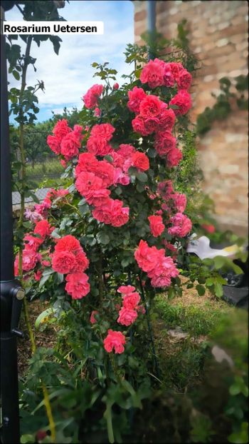 4.b (3) - Helena Nezbedová