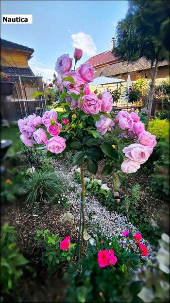 9 (4) - Helena Nezbedová