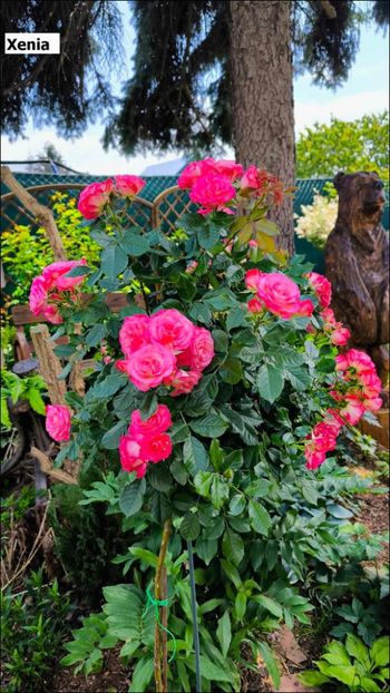 12.a (2) - Helena Nezbedová