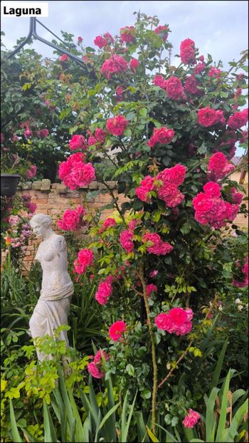 b4d8d686-93b4-4150-b520-f238ed181291 - Helena Nezbedová