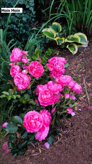 d9ea4350-2b6e-40f0-9c9d-5e946373096f - Helena Nezbedová