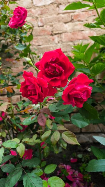 .trashed-1720260038-IMG_20240603_160347 - Helena Nezbedová