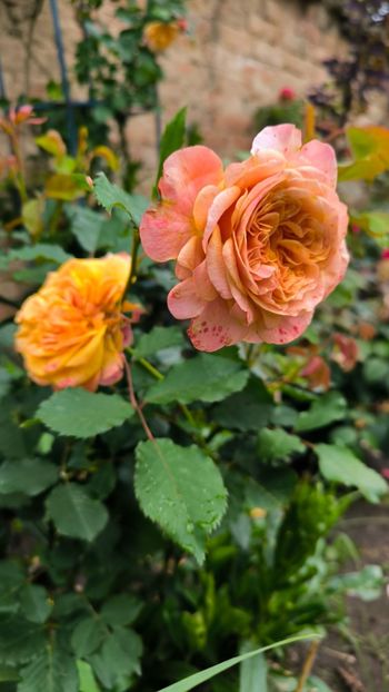 .trashed-1720260065-IMG_20240603_155917 - Helena Nezbedová