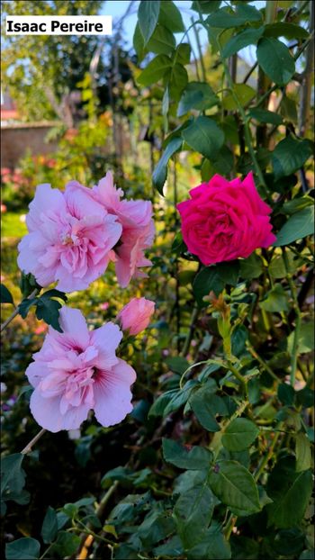 1 (6) - Helena Nezbedová