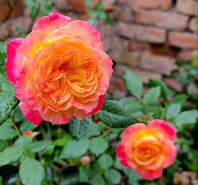 1_24 (2) - Helena Nezbedová