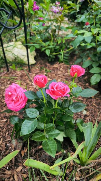 1f7d4f3a-4c0b-4bdb-a54d-200ac6fdc941 - Helena Nezbedová