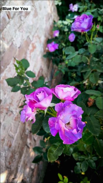 2 (2) - Helena Nezbedová