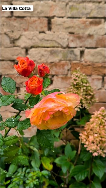 2 (2) - Helena Nezbedová