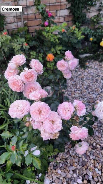 2 (4) - Helena Nezbedová