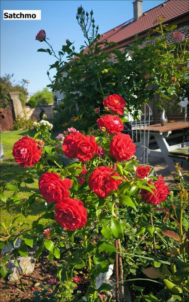 2 (24) - Helena Nezbedová