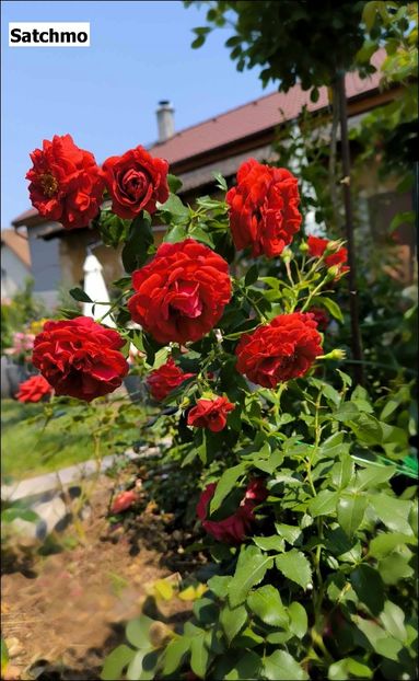 2.b (2) - Helena Nezbedová