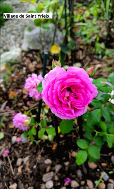 2.b (6) - Helena Nezbedová