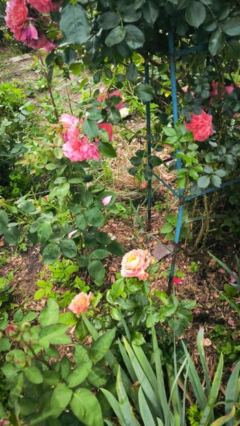 2a0986e7-bbf3-4b8a-b046-a953a7ef5d99 - Helena Nezbedová